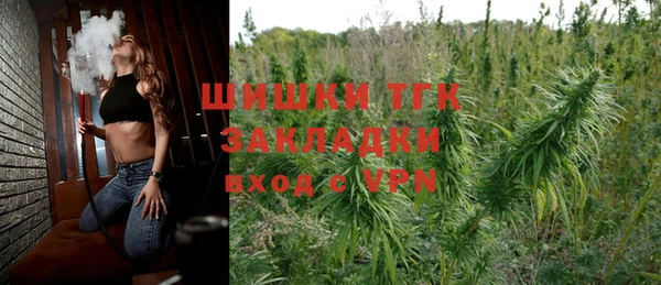 молекула духа Алексин