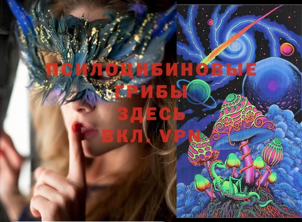 молекула духа Алексин