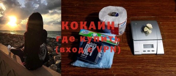 молекула духа Алексин
