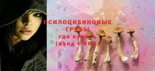 молекула духа Алексин